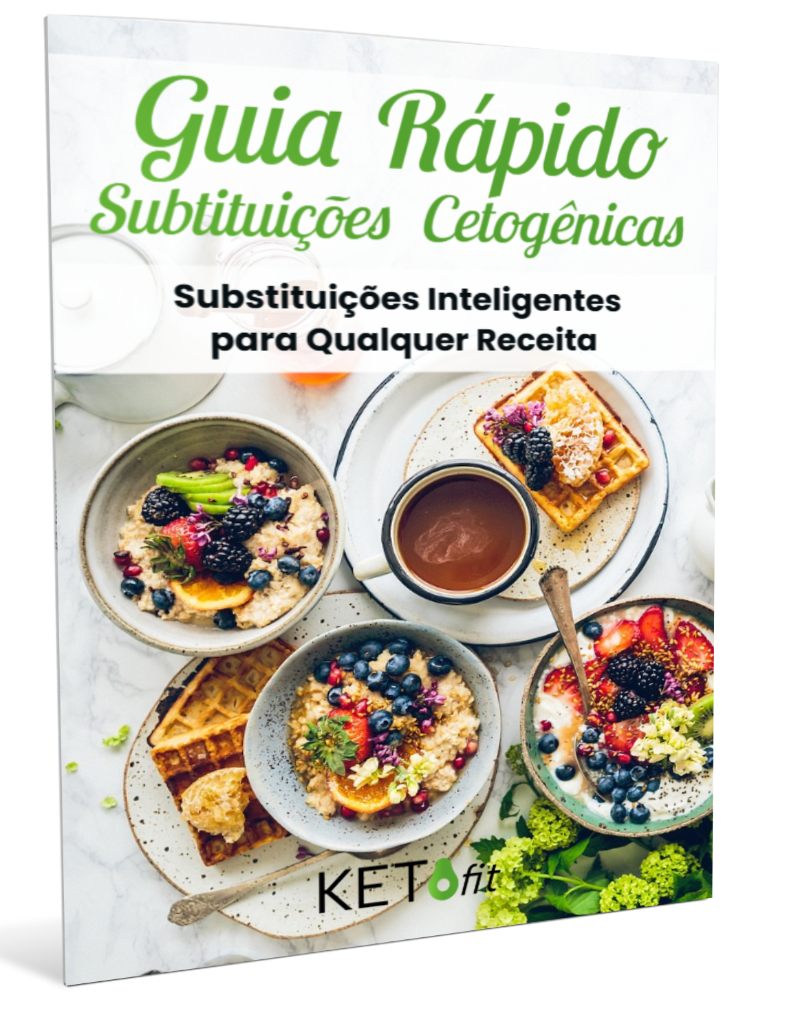 GUIADE_SUBSTITUIÇÕES